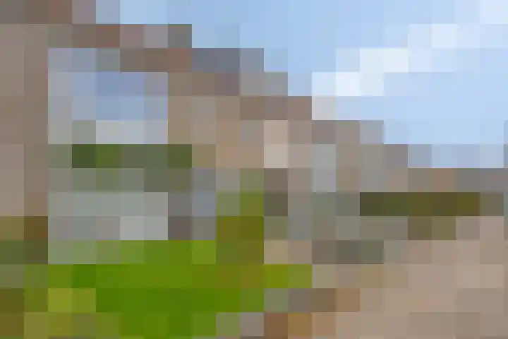 Groene Woud 130 Breda thumbnail 37