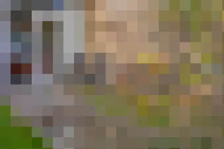 Groene Woud 130 Breda thumbnail 38