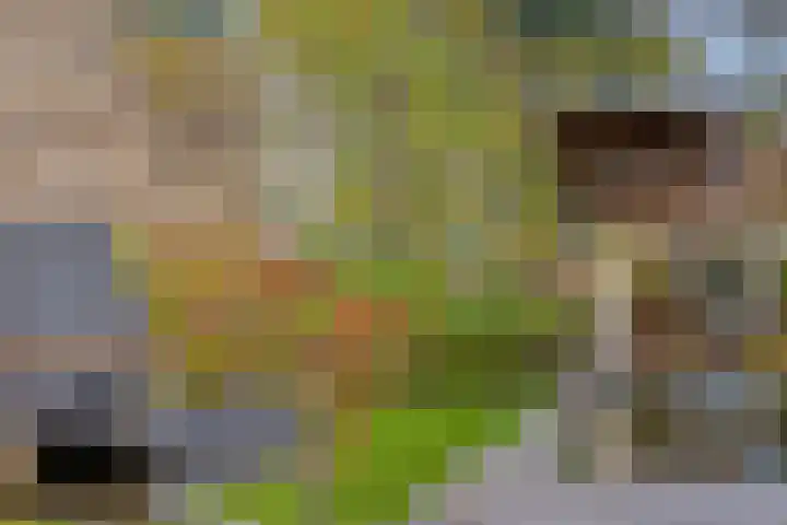 Groene Woud 130 Breda thumbnail 39