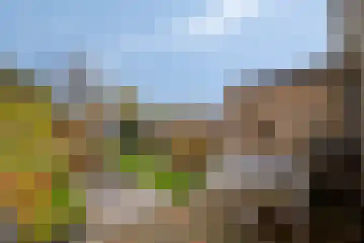 Groene Woud 130 Breda thumbnail 41