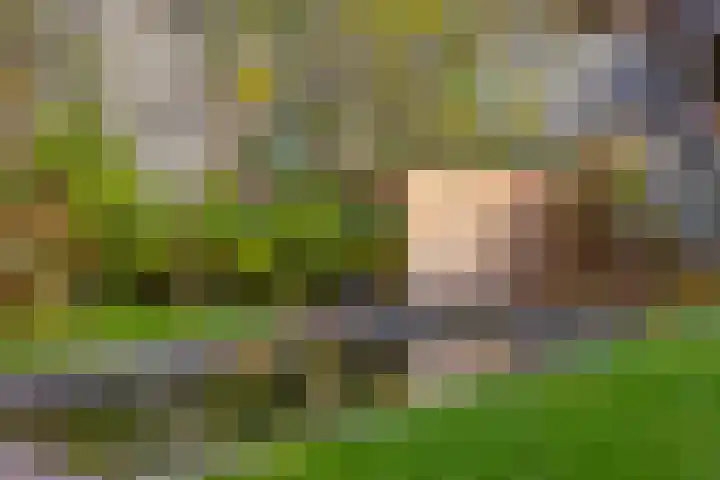 Groene Woud 130 Breda thumbnail 42
