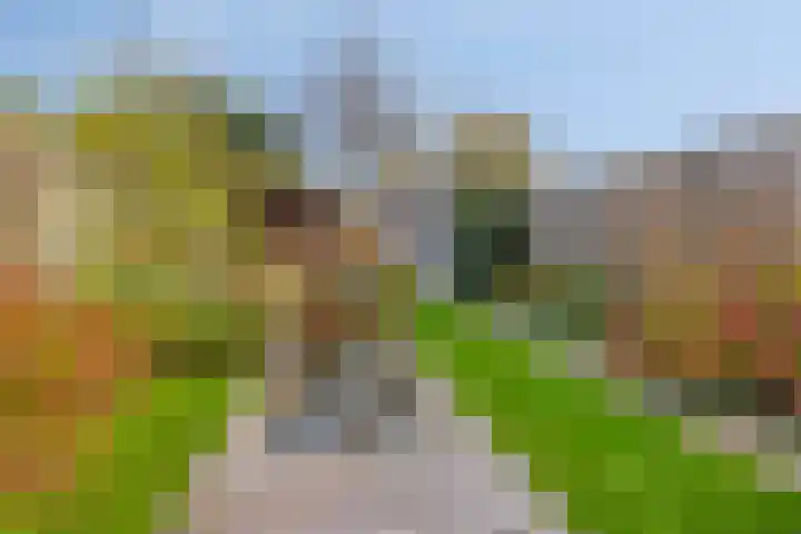 Groene Woud 130 Breda thumbnail 43