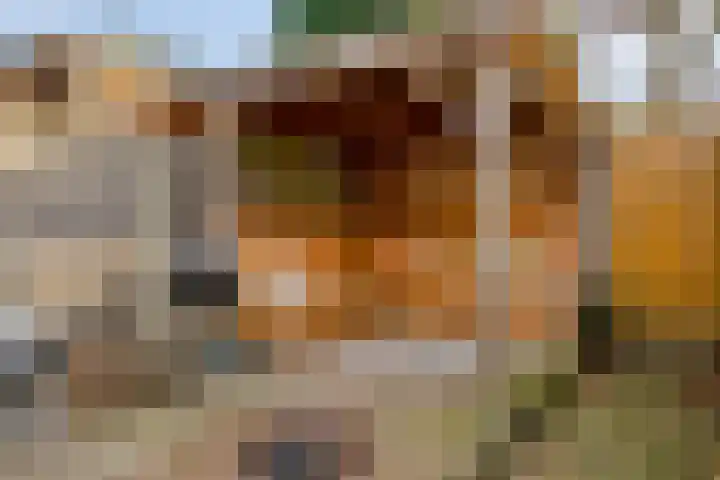 Groene Woud 130 Breda thumbnail 44