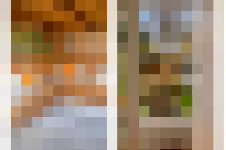 Groene Woud 130 Breda thumbnail 45