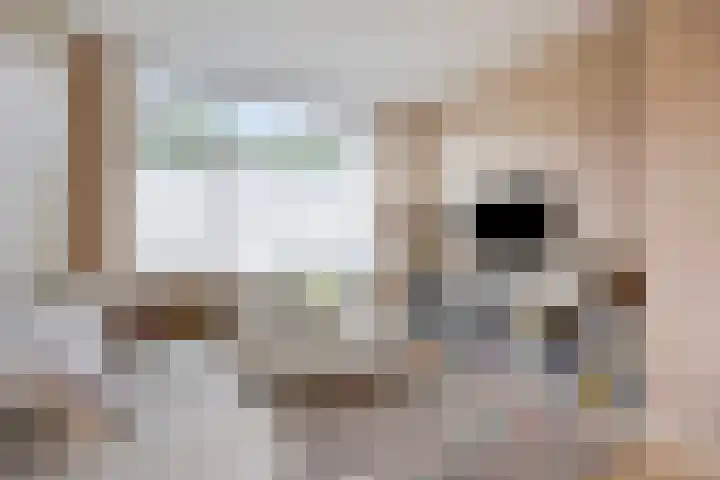 Groene Woud 130 Breda thumbnail 5
