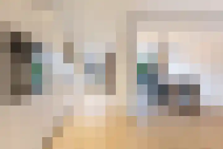 Groene Woud 20 Breda thumbnail 12