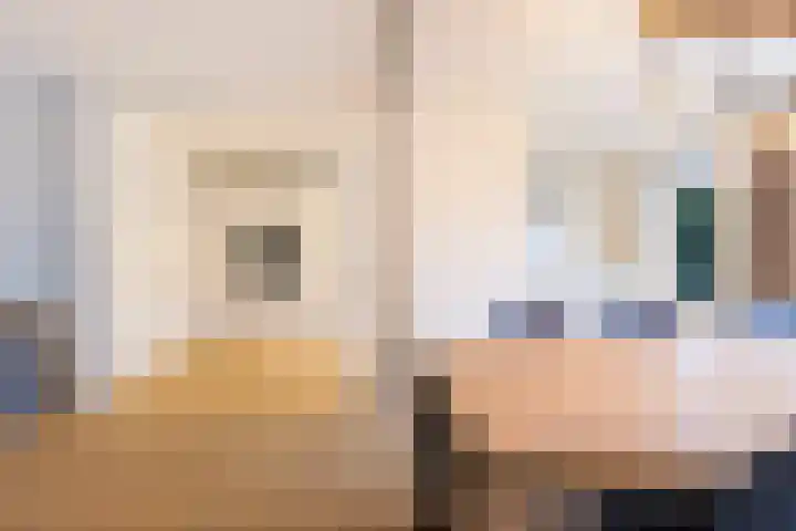 Groene Woud 20 Breda thumbnail 13