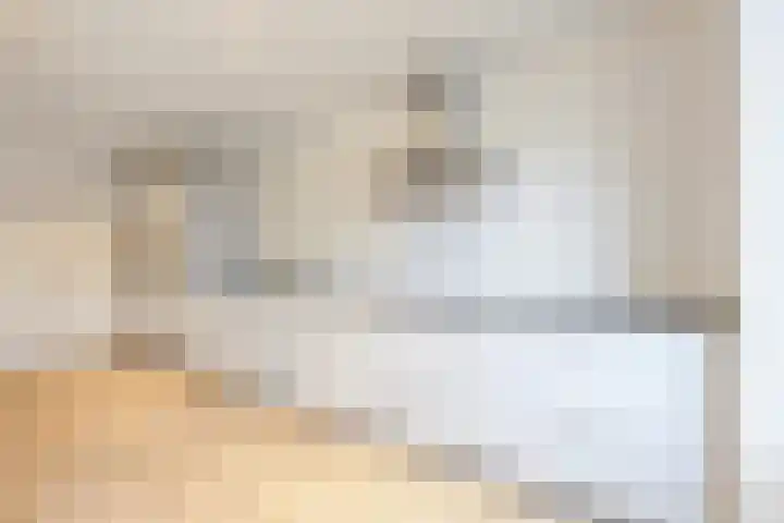 Groene Woud 20 Breda thumbnail 16