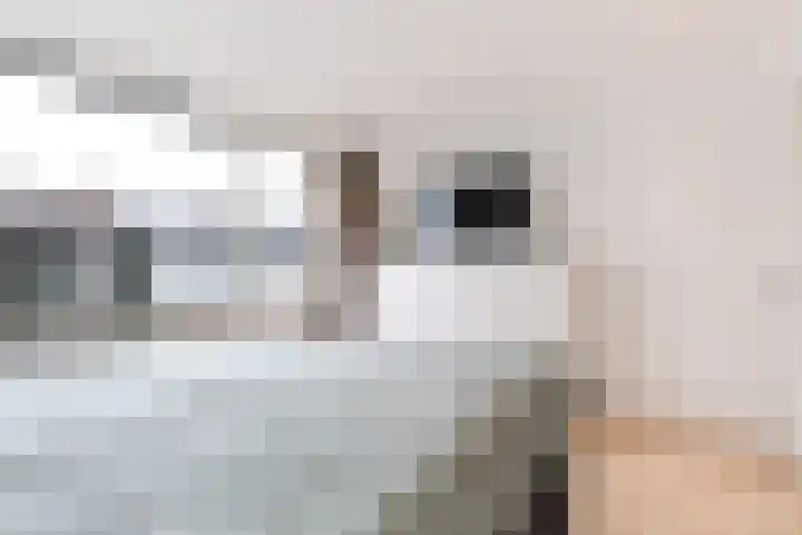 Groene Woud 20 Breda thumbnail 21