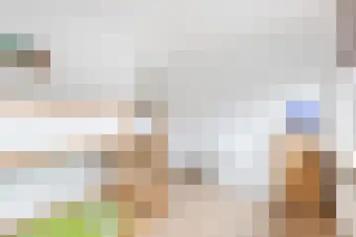 Groene Woud 20 Breda thumbnail 24