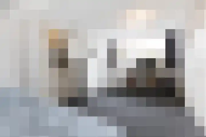 Groene Woud 20 Breda thumbnail 32