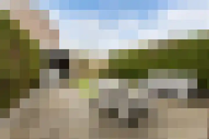 Groene Woud 20 Breda thumbnail 34