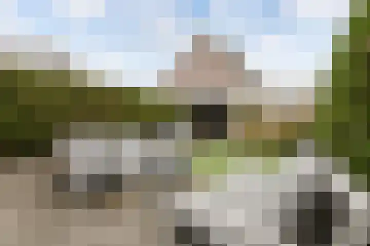 Groene Woud 20 Breda thumbnail 35