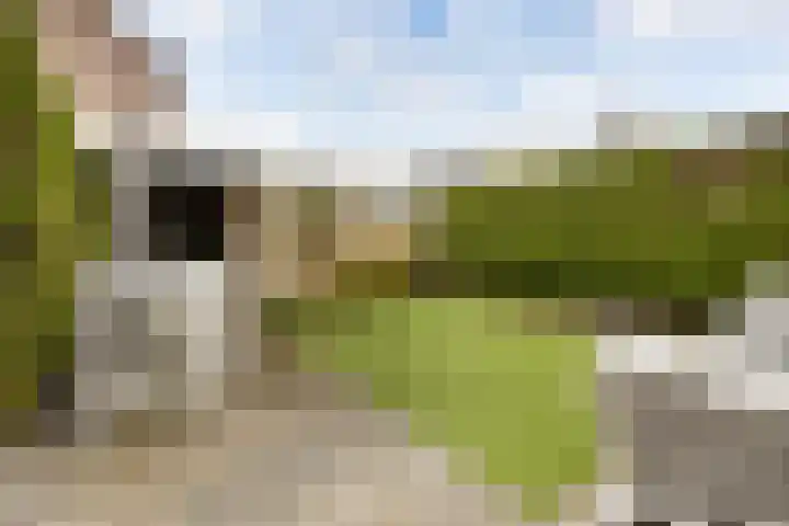 Groene Woud 20 Breda thumbnail 36