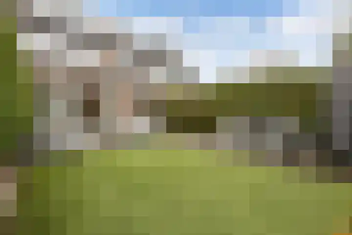 Groene Woud 20 Breda thumbnail 37