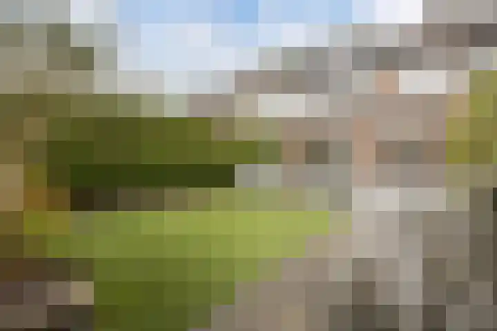 Groene Woud 20 Breda thumbnail 38
