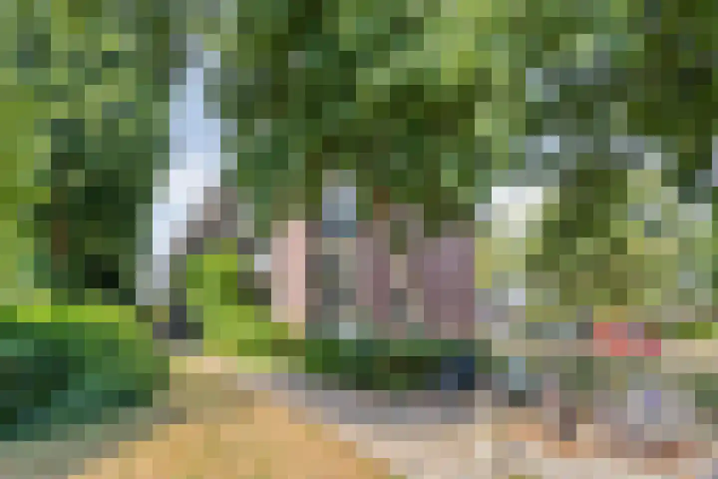 Groene Woud 206 C Breda thumbnail 33