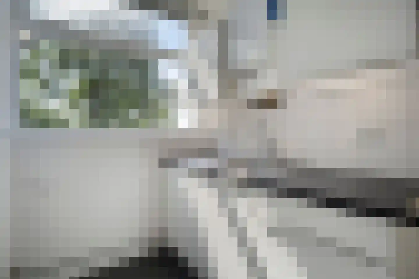 Groene Woud 206 C Breda thumbnail 4