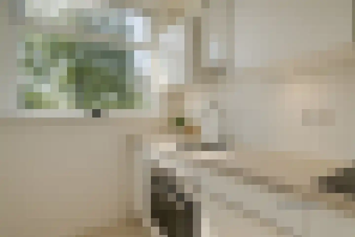 Groene Woud 206 C Breda thumbnail 5