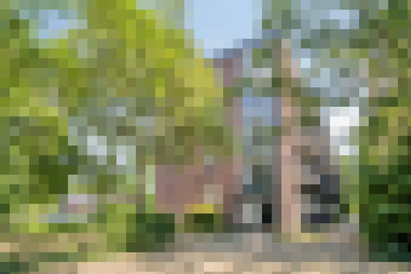 Groene Woud 206 C Breda thumbnail 8