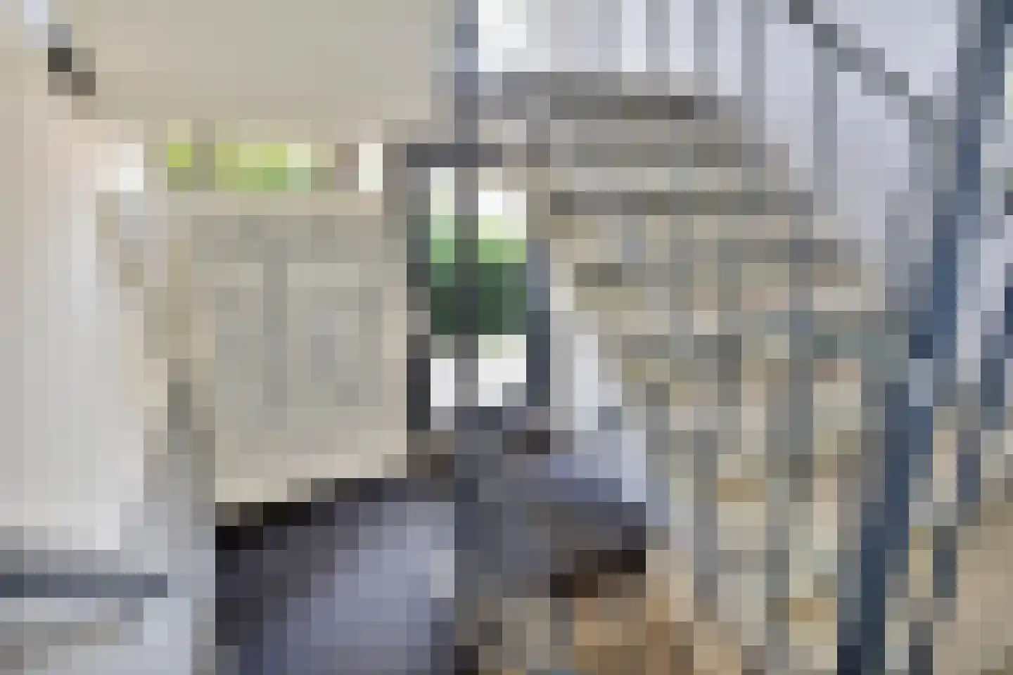 Groene Woud 212 A Breda thumbnail 11