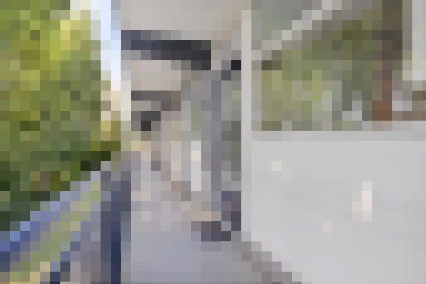 Groene Woud 212 A Breda thumbnail 12