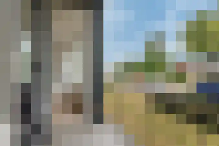 Groene Woud 216 Breda thumbnail 11
