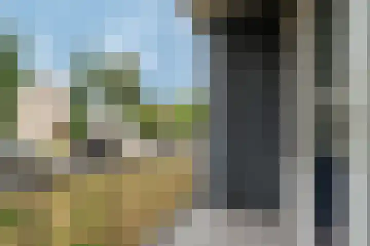 Groene Woud 216 Breda thumbnail 12