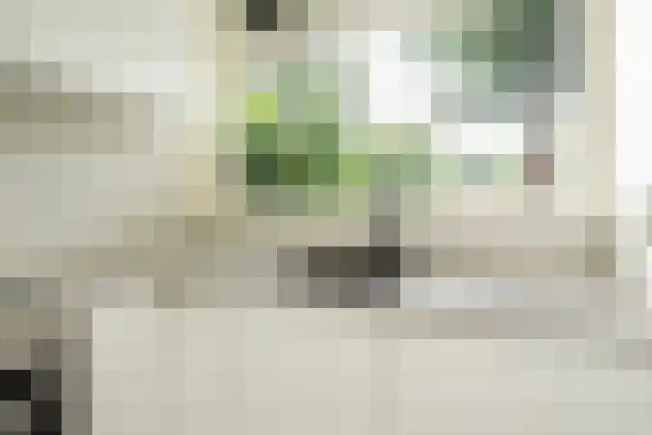 Groene Woud 216 Breda thumbnail 13