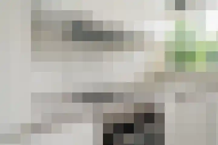 Groene Woud 216 Breda thumbnail 14