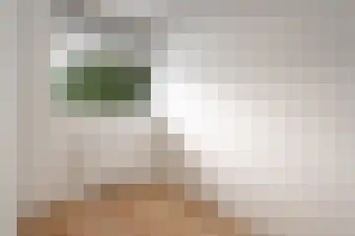 Groene Woud 216 Breda thumbnail 18