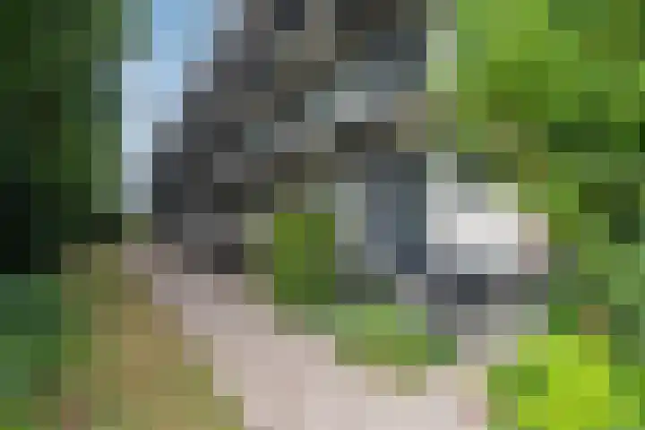 Groene Woud 216 Breda thumbnail 22