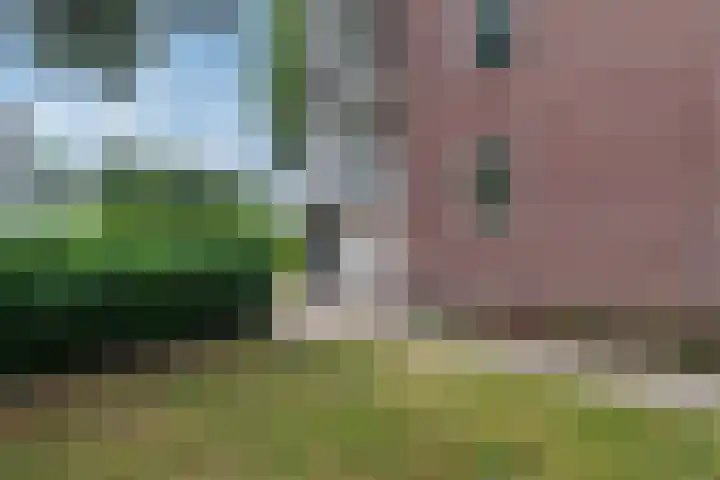 Groene Woud 216 Breda thumbnail 23