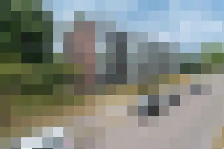 Groene Woud 216 Breda thumbnail 26