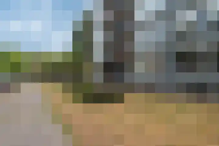 Groene Woud 216 Breda thumbnail 27