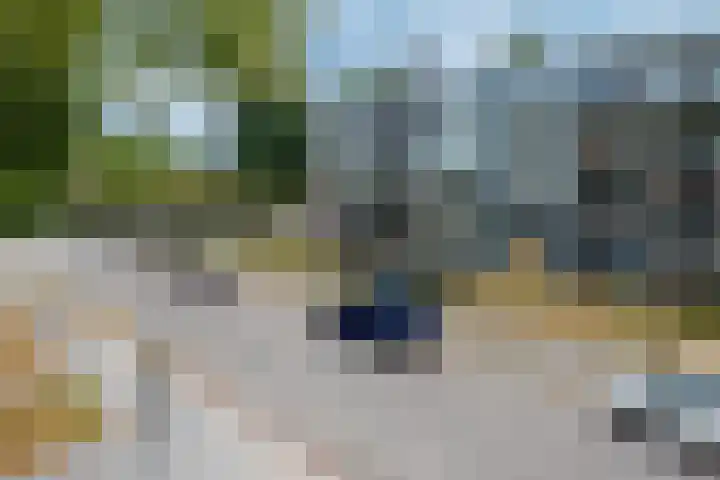 Groene Woud 216 Breda thumbnail 28