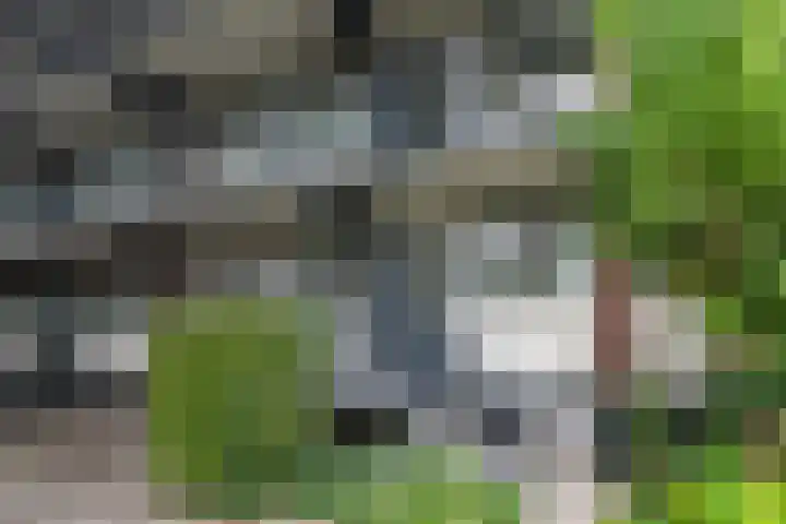 Groene Woud 216 Breda thumbnail 7
