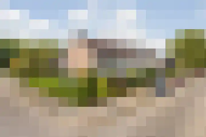 Groene Woud 22 Breda thumbnail 10