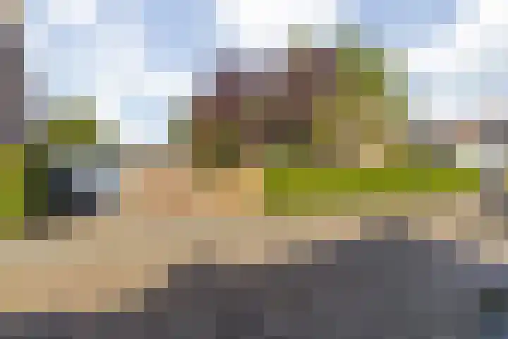 Groene Woud 22 Breda thumbnail 13