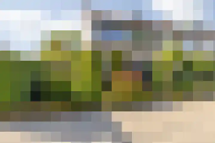 Groene Woud 22 Breda thumbnail 14
