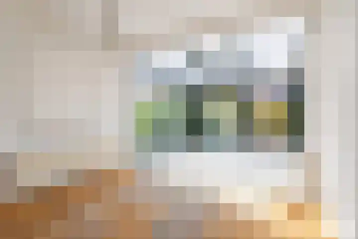 Groene Woud 22 Breda thumbnail 26
