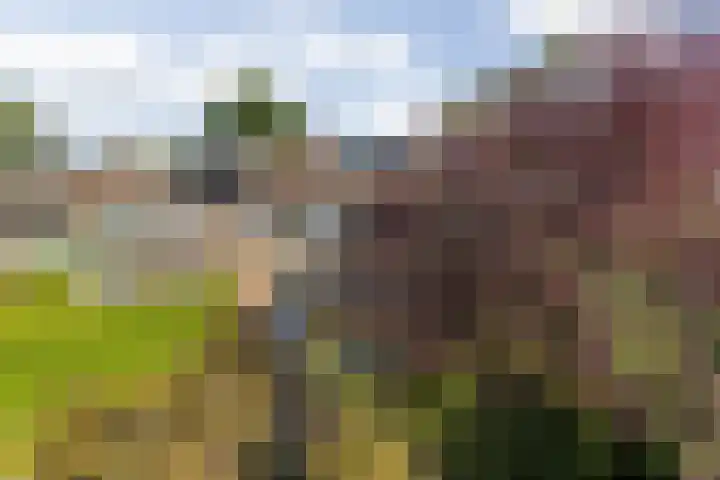 Groene Woud 22 Breda thumbnail 62