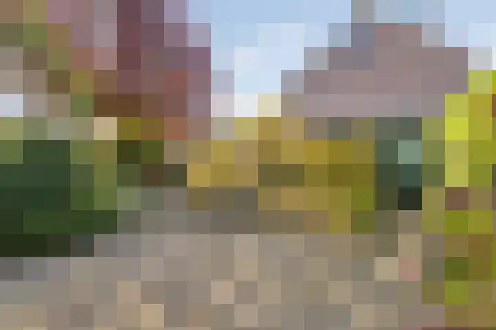 Groene Woud 22 Breda thumbnail 63