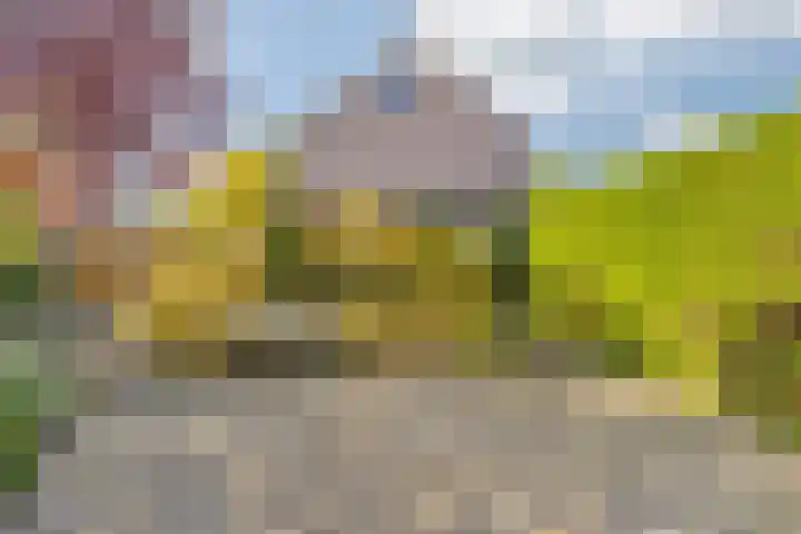 Groene Woud 22 Breda thumbnail 64