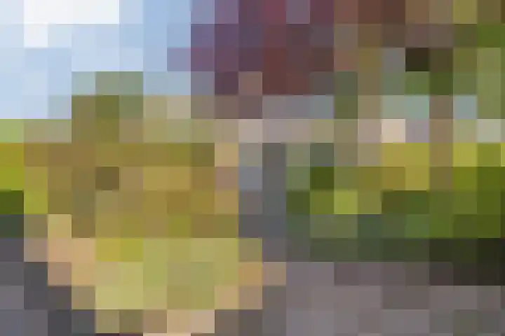 Groene Woud 22 Breda thumbnail 65