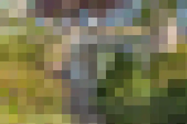 Groene Woud 22 Breda thumbnail 66