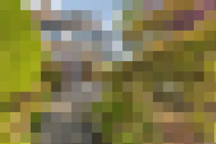 Groene Woud 22 Breda thumbnail 67