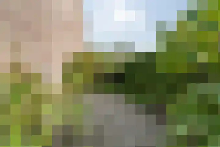 Groene Woud 22 Breda thumbnail 68