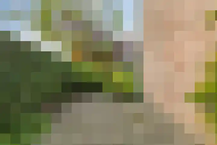 Groene Woud 22 Breda thumbnail 69