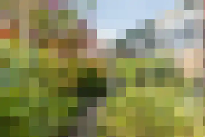 Groene Woud 22 Breda thumbnail 70